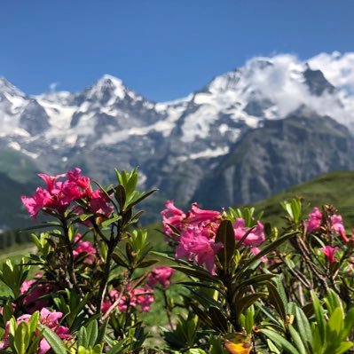 lapis1217uno's profile picture. フィギュアスケートが好きです。ノービスからシニアまで応援してます。岡崎隼士選手西野太翔選手岡万佑子選手推しです