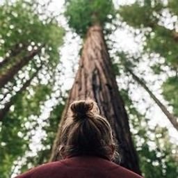 us_madison38659's profile picture. 