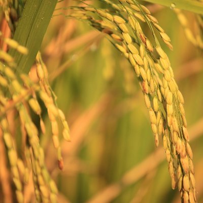 arfiyantd168's profile picture. trying to be a useful part of goodness
@prom_io