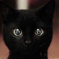 Flor de Lis (@fleurdelysamie) 's Twitter Profile Photo Flor de Lis (@fleurdelysamie) 's Twitter Profile Photo