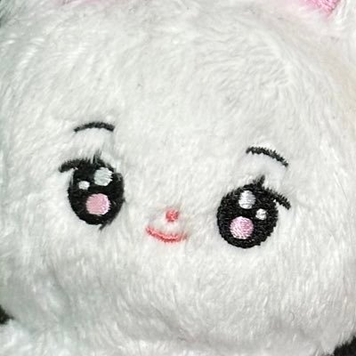 _prettynim's profile picture. 선배는 참 재밌어요