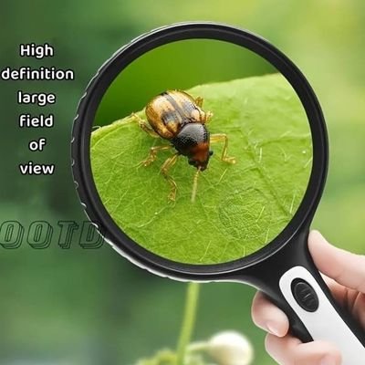 DelveIntoDetail's profile picture. Uncovering the nuances hiding in plain sight. 💡 Exploring the beauty of the overlooked. #DetailsMatter