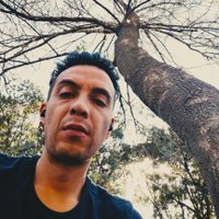 Gabriel B.V (@gabobval) 's Twitter Profile