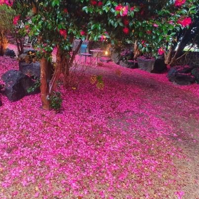 gimsohui1331255's profile picture. 