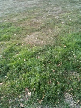 snuffy8305's profile picture. 