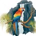 BAILE DO ARARÁ 🦜🎶 (@lebaidoarara) Twitter profile photo BAILE DO ARARÁ 🦜🎶 (@lebaidoarara) Twitter profile photo