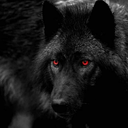 Marc Denault - @MarcDenaul49839 - Twitter