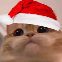 Karı Koca Derlemesi (@karikocader_) Twitter profile photo