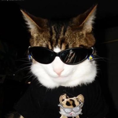 queeny_kisses's profile picture. they/them (derogatory) I’m just here for the vibes ✨✨🔪✨🔪🔪