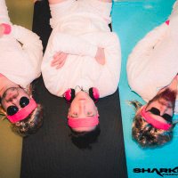 FLEISCH (@fleischband) 's Twitter Profile