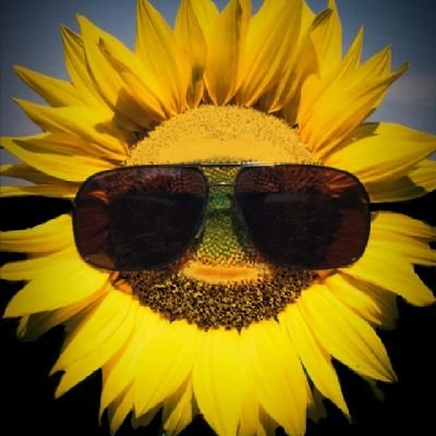 bennietictac's profile picture. Nothingness