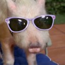 Bruce Warner - @BruceWarne38888 - Twitter