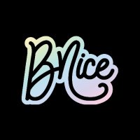 BNice (@bnice_projects) 's Twitter Profile