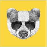 Señor Serio (@tioserio) 's Twitter Profile Photo