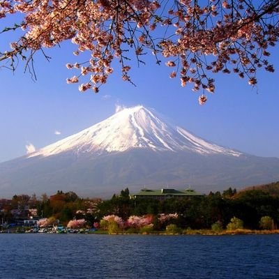 Leslie20000520's profile picture. 少年不知愁，错把青春当自由|生者们歌颂着死亡的赞歌，而亡者们渴求着生命的源泉🇹🇼🇨🇭