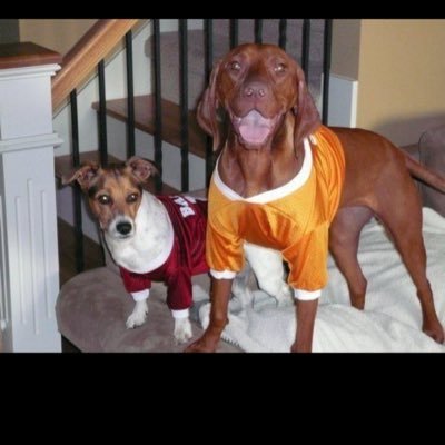 ThomasKoukos's profile picture. #Bitcoin, #Crypto, #VPAD NFTs