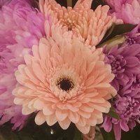 EarnWithHomeBiz (@deeleemol) 's Twitter Profile