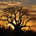 Cabo Delgado (@delgadocabo) Twitter profile photo Cabo Delgado (@delgadocabo) Twitter profile photo