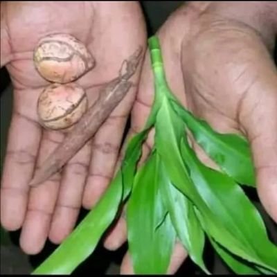 CalvinDjam12384's profile picture. 