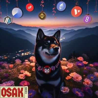 The future of #OsakaProtocol has never looked brighter. Join our community and see what truly decentralized governance can achieve. #DecentralizedFinance