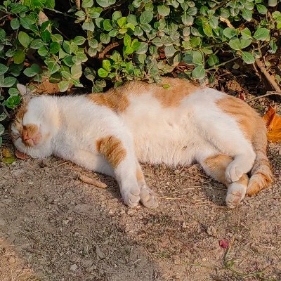 wngyun89587061's profile picture. 让平等公正的社会主义东方烈火烧掉邪恶的资本主义及其舒适的西方母巢