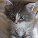 jenny stephens - @jennyestephens - Twitter