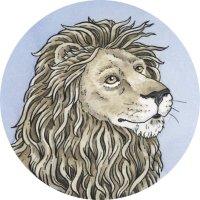 The Lion's Time (@the_lions_time) 's Twitter Profile