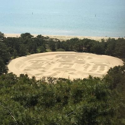 romancyan19191's profile picture. 