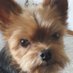 Judy Ketchersid (@judyketch010) Twitter profile photo Judy Ketchersid (@judyketch010) Twitter profile photo