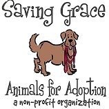 Saving Grace Animals for Adoption(@SavingGraceNC) 's Twitter Profile Photo