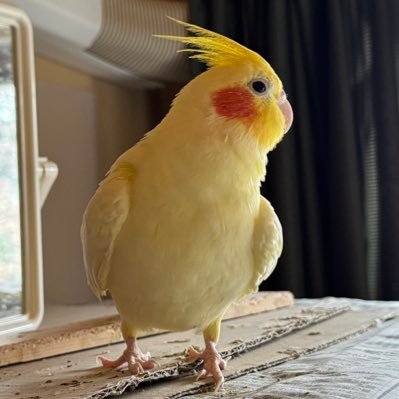 Harukovsky's profile picture. はる③ RTとイイネは概ね自身のメモとして。サッカーと遺構巡礼、美味しいもの、鉄分濃いめ。