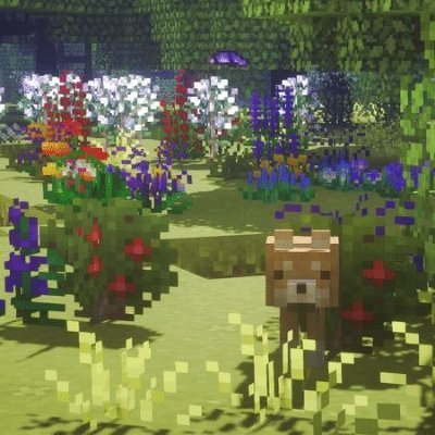 Welcome to our profile where two friends have come together in Minecraft. We have made two realms for the community to enjoy! Join us in the fairy vibes!