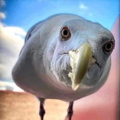 Seagulls fan and proud Grandad. 
Views are my own. Please bear in mind - I can be quite grumpy. If you poke, I'll likely react.