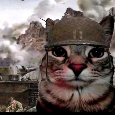 username_uncomm's profile picture. Muy buenas criaturitas del señor (se re creia rubius)
Pan con palta o queso?