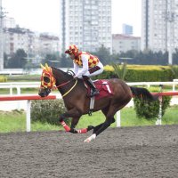mustafa özyazıcı (@ozyzclr) 's Twitter Profile