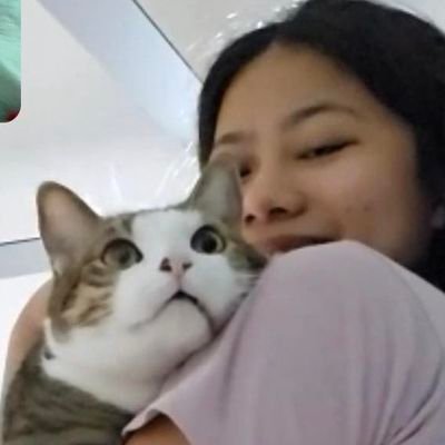 KPKillerQueen's profile picture. c'est la vie