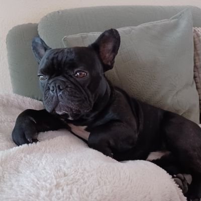 17_06_19_AntonW's profile picture. 