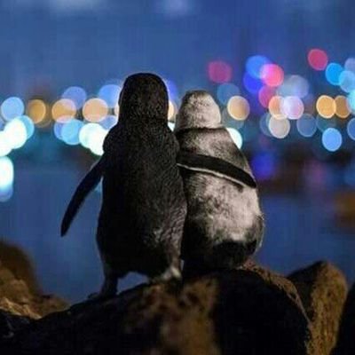 kadir_krshn's profile picture. 