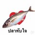 เล่น2คน..คู่แท้บ้านๆสวิงแลกคู่ ช37-ญ42 (@jd600696) Twitter profile photo เล่น2คน..คู่แท้บ้านๆสวิงแลกคู่ ช37-ญ42 (@jd600696) Twitter profile photo