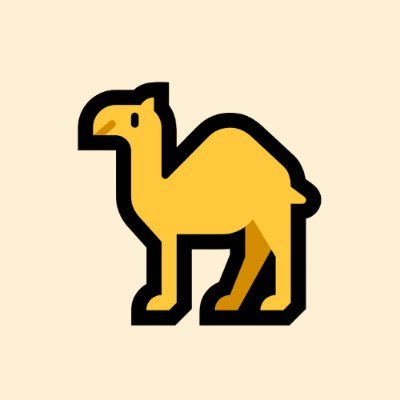 Borrow, Lend, and Navigate the desert of opportunities on @Seinetwork with Camel Finance 🐪