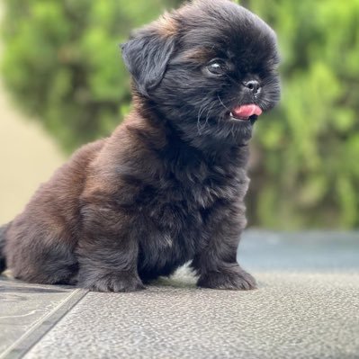 Yung_teff's profile picture. God made..self paid...