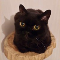 Kasia (@kasia03023836) 's Twitter Profile