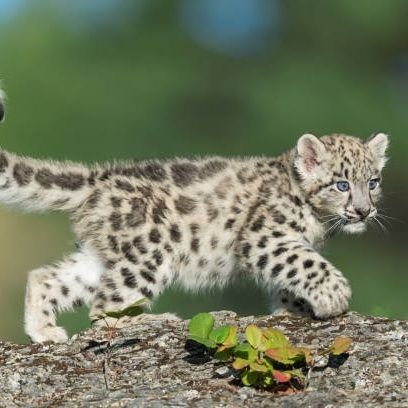 Martiniqueloka's profile picture. 