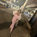 Kaila Rachelle (@kayyyprincess) Twitter profile photo Kaila Rachelle (@kayyyprincess) Twitter profile photo