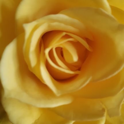 OnlineRomy's profile picture. 