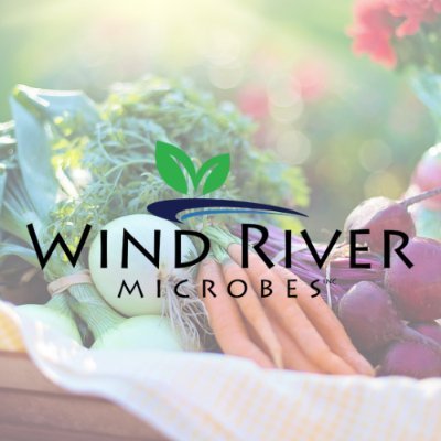 WRMicrobes Profile Picture