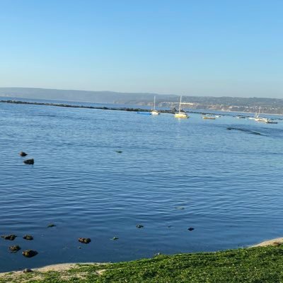 Trehuaco_'s profile picture. 