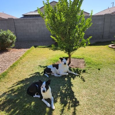 KelleyW96300157's profile picture. 