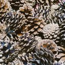 Constance Klein - @KleinConst61860 - Twitter