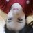 CarrotCaramel's profile image